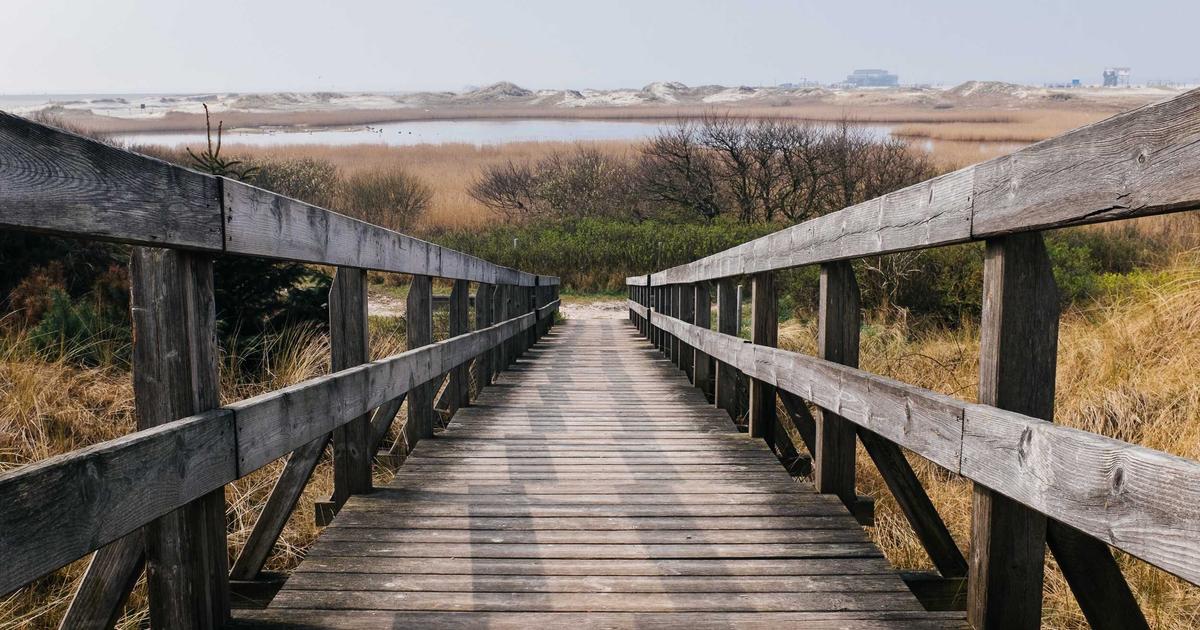 AI-generierte Illustration zum Thema KI-Transformation und Stellenabbau — abstrakte Waage zwischen Roboter-Symbol und menschlichen Silhouetten in Unternehmenslandschaft