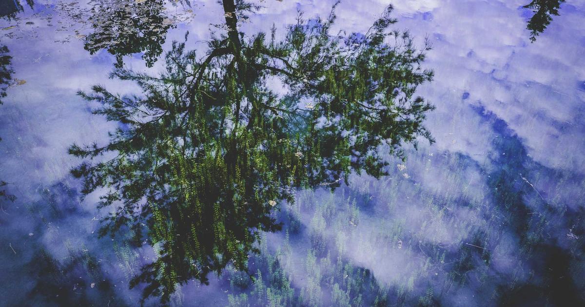 AI-generierte Illustration: Leuchtend blauer Quellcode-Strom bricht aus einem digitalen Tresor aus, im Hintergrund dominiert ein riesiges Schloss-Symbol vor einem Netzwerk-Hintergrund